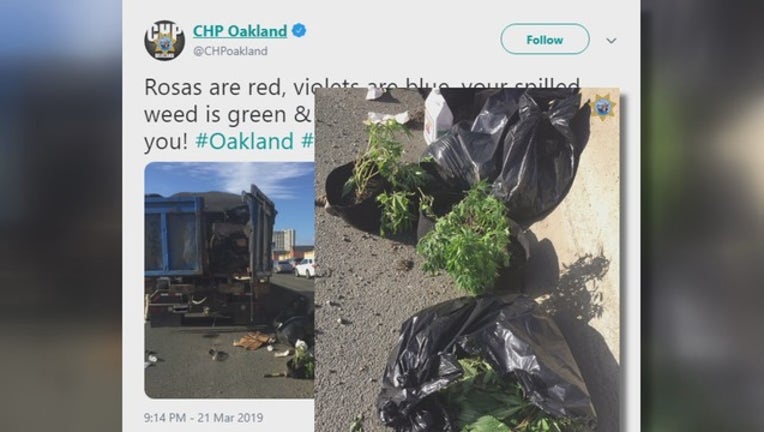 5b1b843f-4A POT LOAD SPILLED_00.00.08.18_1553267627822.png-405538.jpg