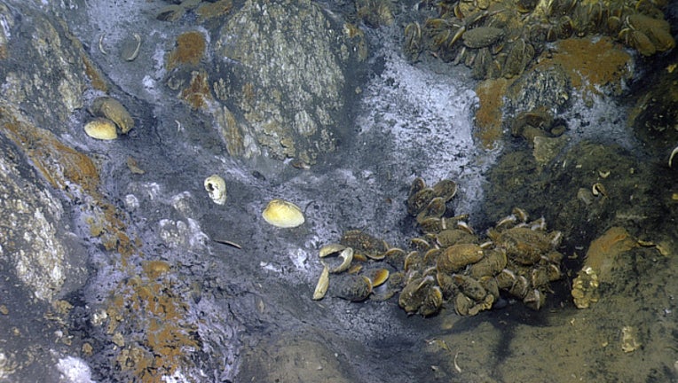 ff05858d-Jacuzzi of Despair