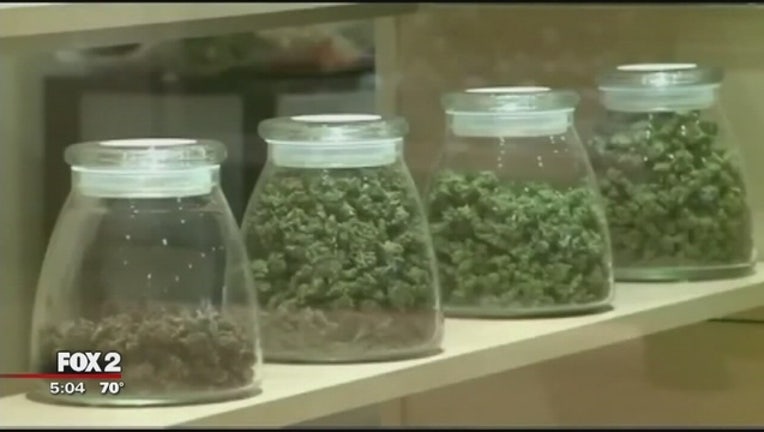 ad2a7d68-Detroit_s_medical_marijuana_laws_could_c_0_20171019212055-65880