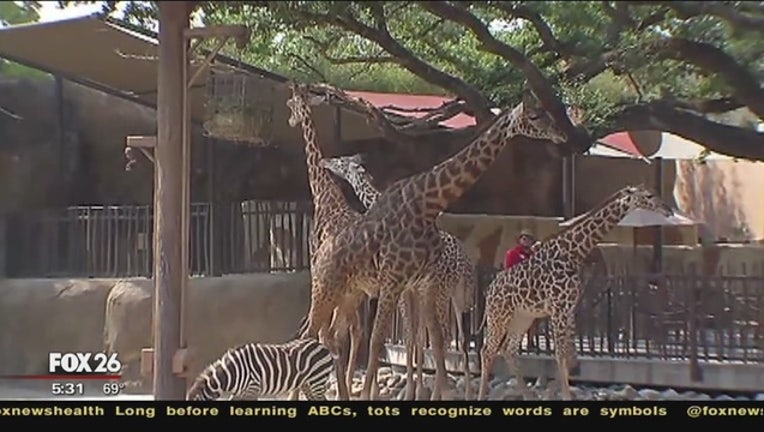 c8c42fbb-Guns_at_Houston_Zoo_1_20160107235850