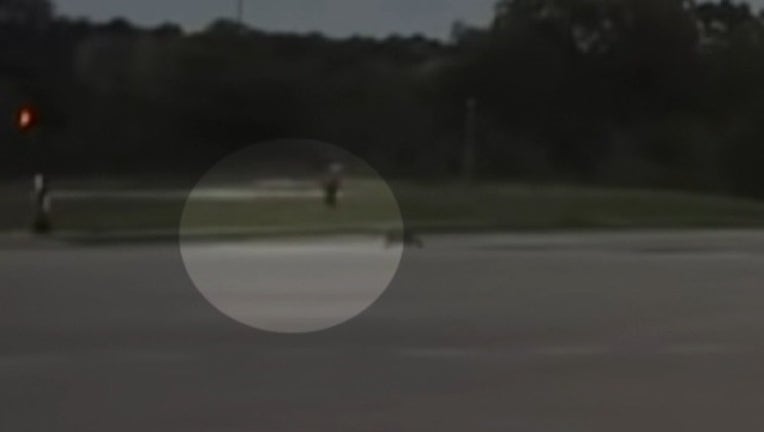 d0e01db2-H-9P FRISCO POLICE COYOTE ATTACKS_00.00.06.22_1543457030845.png-409650.jpg