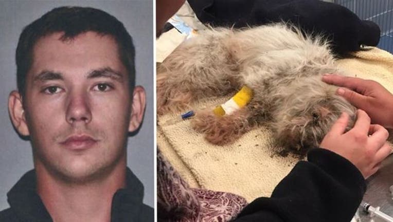 2e8d35ab-KAYLEE BELANGER and NORTHBRIDGE PD_dog buried alive_091118_1536681963797.jpg-402429.jpg
