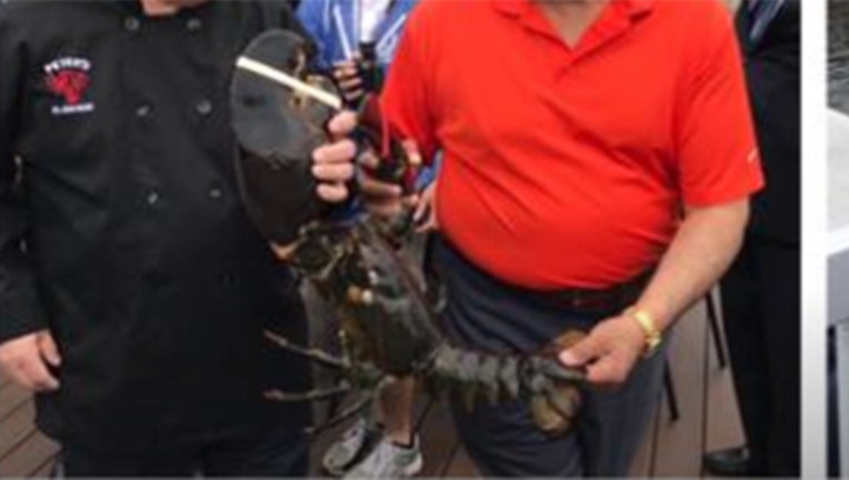 643ed061-Louie The Lobster-402970
