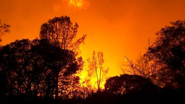 M-54 ELISSA CAMP FIRE 1_00.00.45.17_1541773369274.png-405538.jpg
