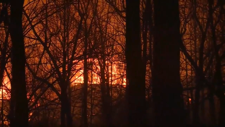 116b5b18-S TN WILDFIRES UPDATE 8A_00.00.10.26_1480629474458-404959.png