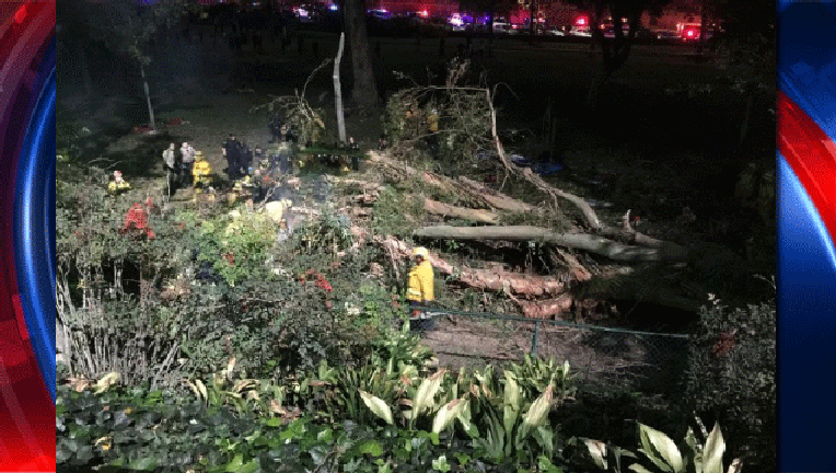 3adc3e13-Tree-falls-on-wedding-party_1482090039851-407693.gif
