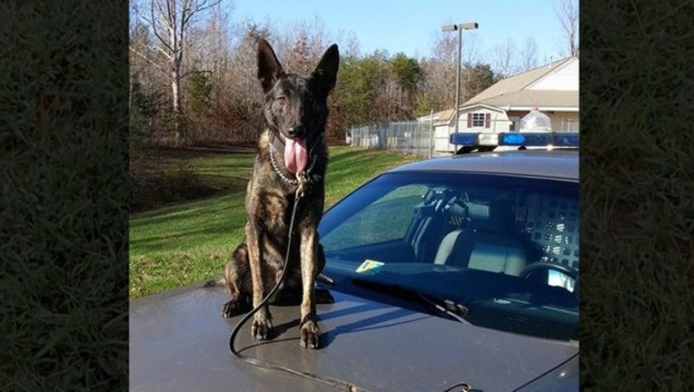 681dcebe-bane for web_1553699475655.png-402429.jpg