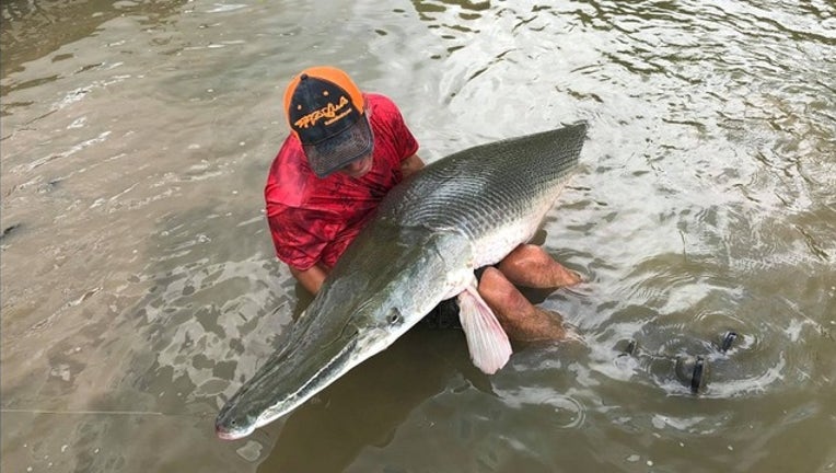 74c82124-230poundgar-409650