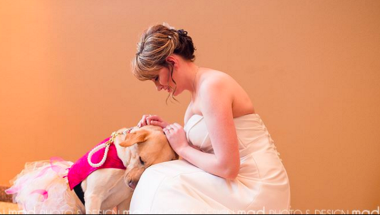 60ebcb93-bride and service dog_1453160162941.png