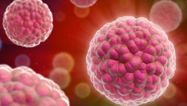 Cancer cells