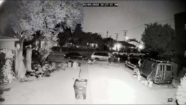 7fec61fa-dog shot in South LA_1521652302166.PNG-407068.jpg