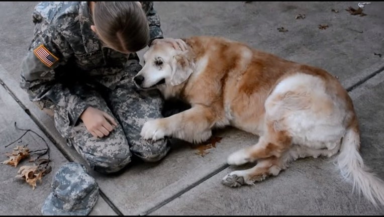 2f34e85c-dog_1457983243714.jpg