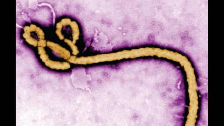 ebola virus_1444401339411.jpg