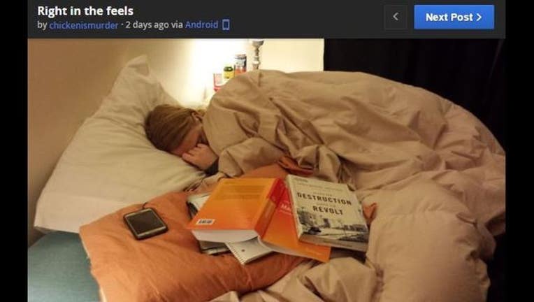 3d5db3b2-imgur picture_1452692034109-404959.JPG