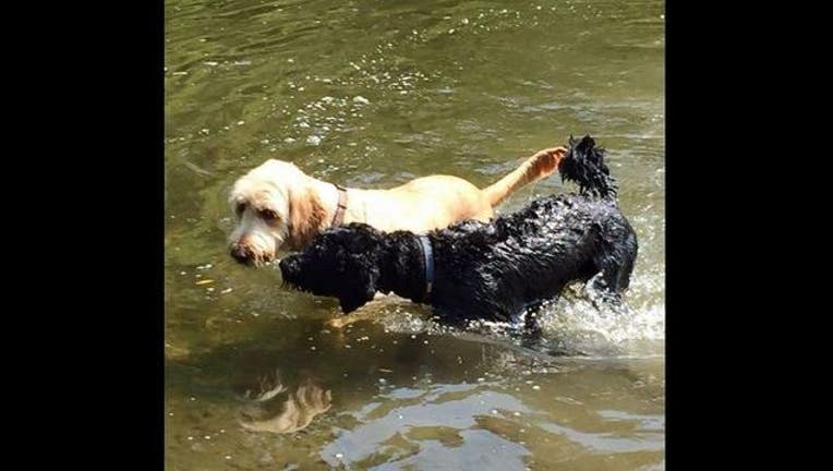 299f3f81-kirby quigley_1487521545047.JPG