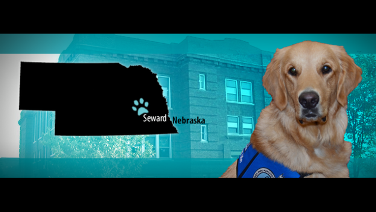 22d9e381-nicodemus comfort dog_1511030483540.png
