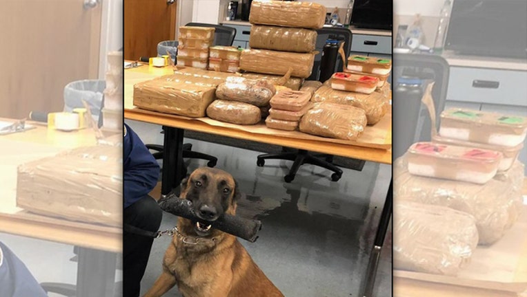 a5c17301-oregon pd k9_1544188783432.jpg-401385.jpg