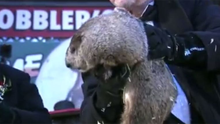 26a8763a-Punxsutawney Phil 2017-402970