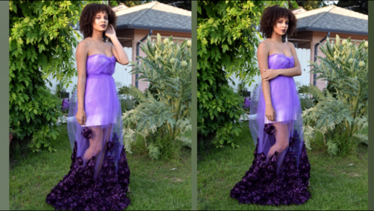 2f10dffe-prom dress homemade_1494263522901-407068.PNG