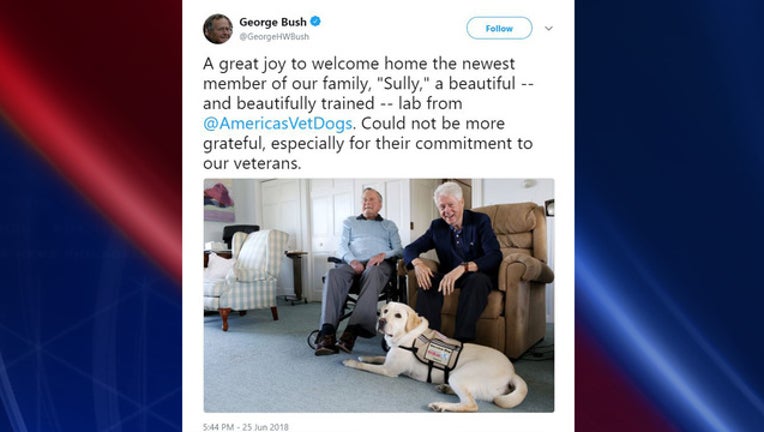 b0caba52-sully_1529967124604.jpg