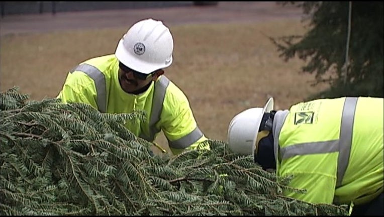 c1eb819c-tree recycling_1545690072221.png.jpg