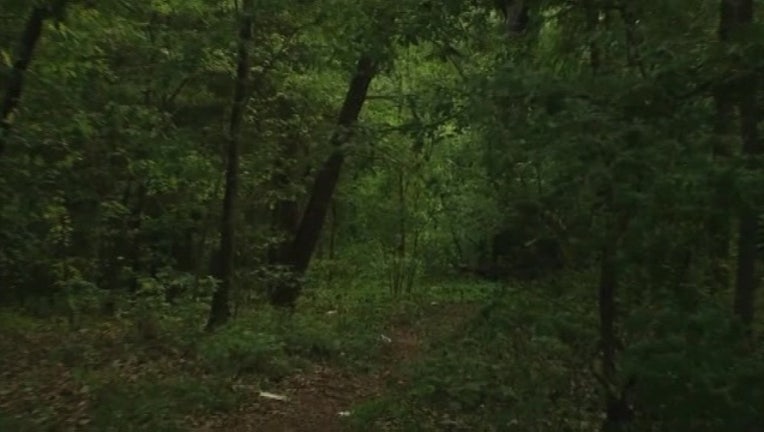 882ef6d1-Woods -401096.jpg
