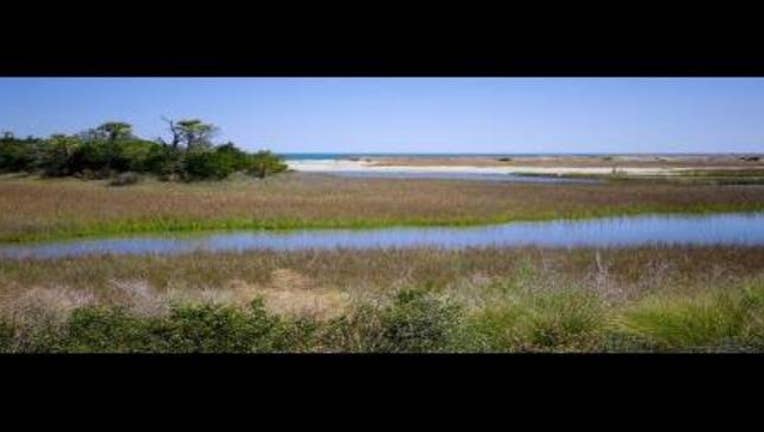 34adaed6-wetlands_1488733829951.jpg
