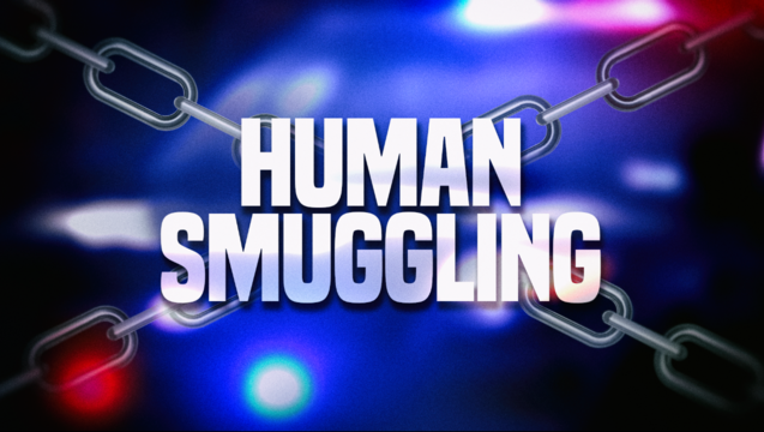 0c3cda31-HD GFX Human Smuggling