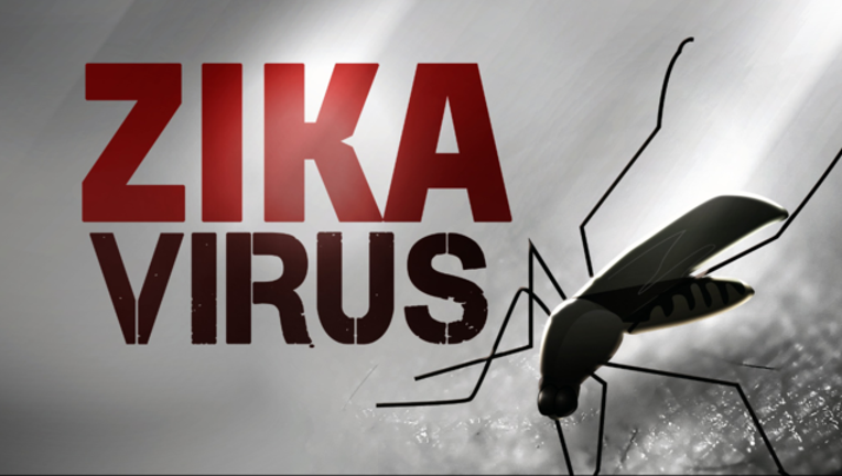 zika virus graphic 1_1454420946202.png