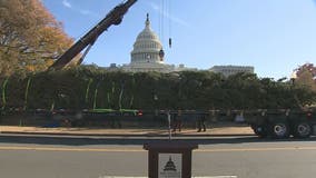 Capitol Christmas Tree arrives in nation’s capital