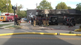 Suspect in custody after fire at Wilde Collection, oddities shop in the Heights