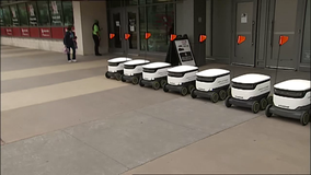 Self-driving food delivery robots hit University of Houston campus