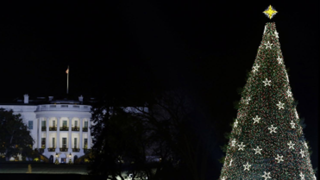 Track the Capitol Christmas Tree from New Mexico to the White House