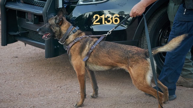 Police K-9, suspect killed in El Mirage officer-involved shooting