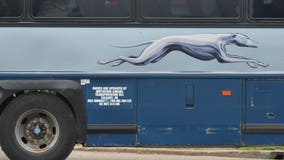 Greyhound offers free bus ticket home to runaway kids