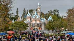 Disneyland temporarily stops selling tickets for the day after reaching capacity