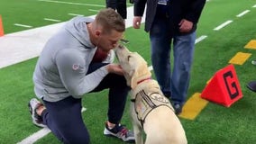 J.J. Watt gets kiss from Sully, George H.W. Bush’s former service dog