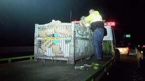 Mail crates and packages found scattered along highway in Splendora