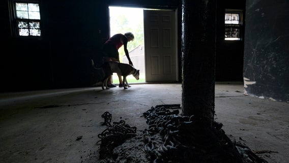 More than 400,000 sign petition to remove Michael Vick as honorary Pro Bowl captain