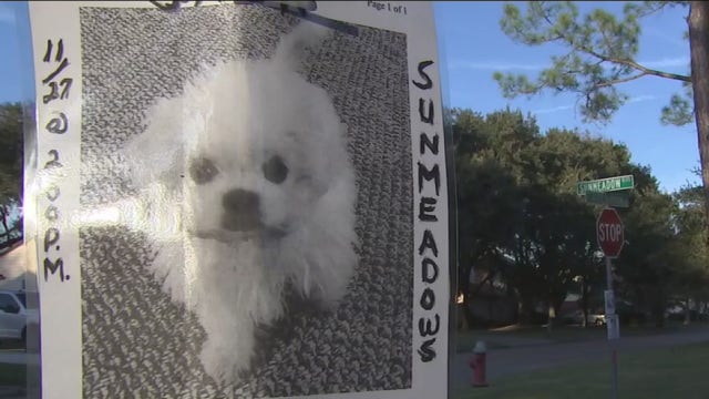 Man offering $4,000 reward for lost puppy that is a clone of his beloved dog