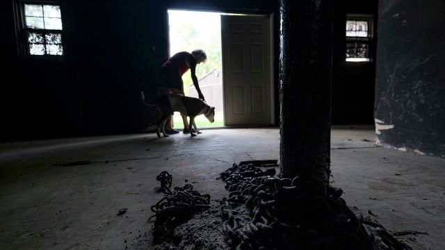 More than 400,000 sign petition to remove Michael Vick as honorary Pro Bowl captain