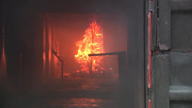 Safety tips for avoiding a Christmas tree fire