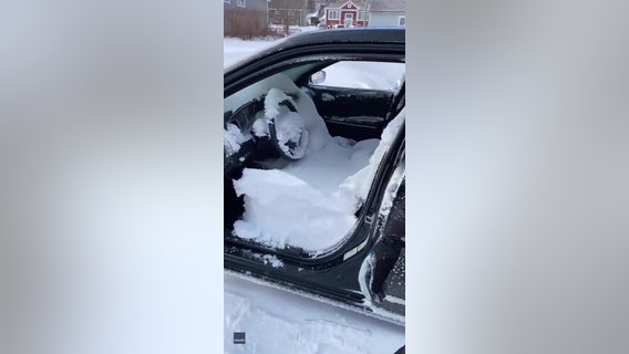 Newfoundland woman learns hard way to remember to roll windows up before a snowstorm