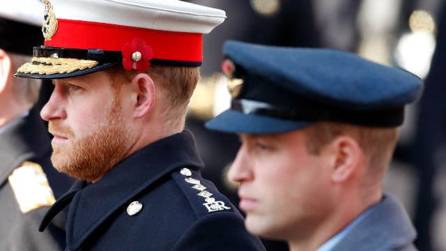 Prince William and Prince Harry issue joint statement amid UK royal family rift