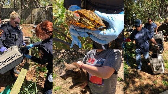 More than 200 animals seized from Katy home by Houston Humane Society