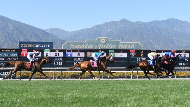 6-year-old horse suffers sudden death on Santa Anita training track