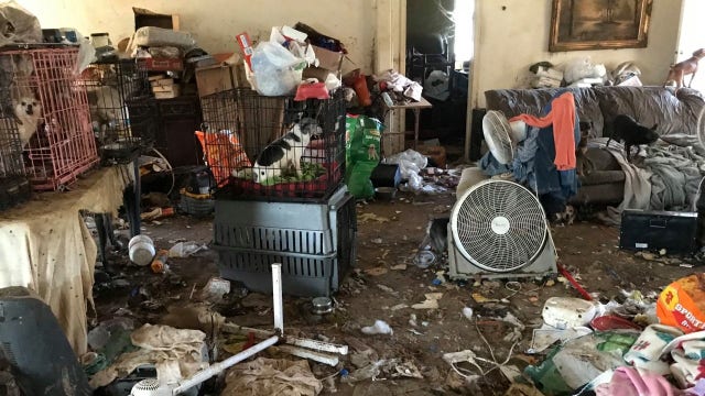 Close to 50 animals rescued from deplorable conditions in Hitchcock home