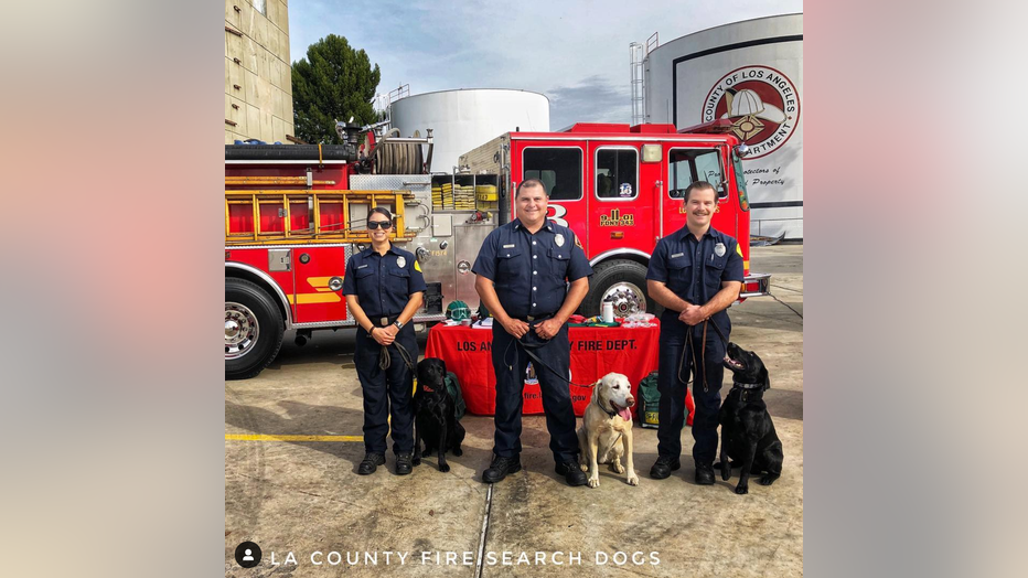LACOFD-Search-Dogs_2.png
