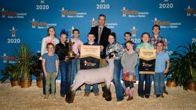 Houston Livestock Show and Rodeo hosts online auctions to support junior exhibitors