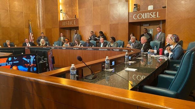 Houston City Council Passes Long-Term Emergency Health Declaration
